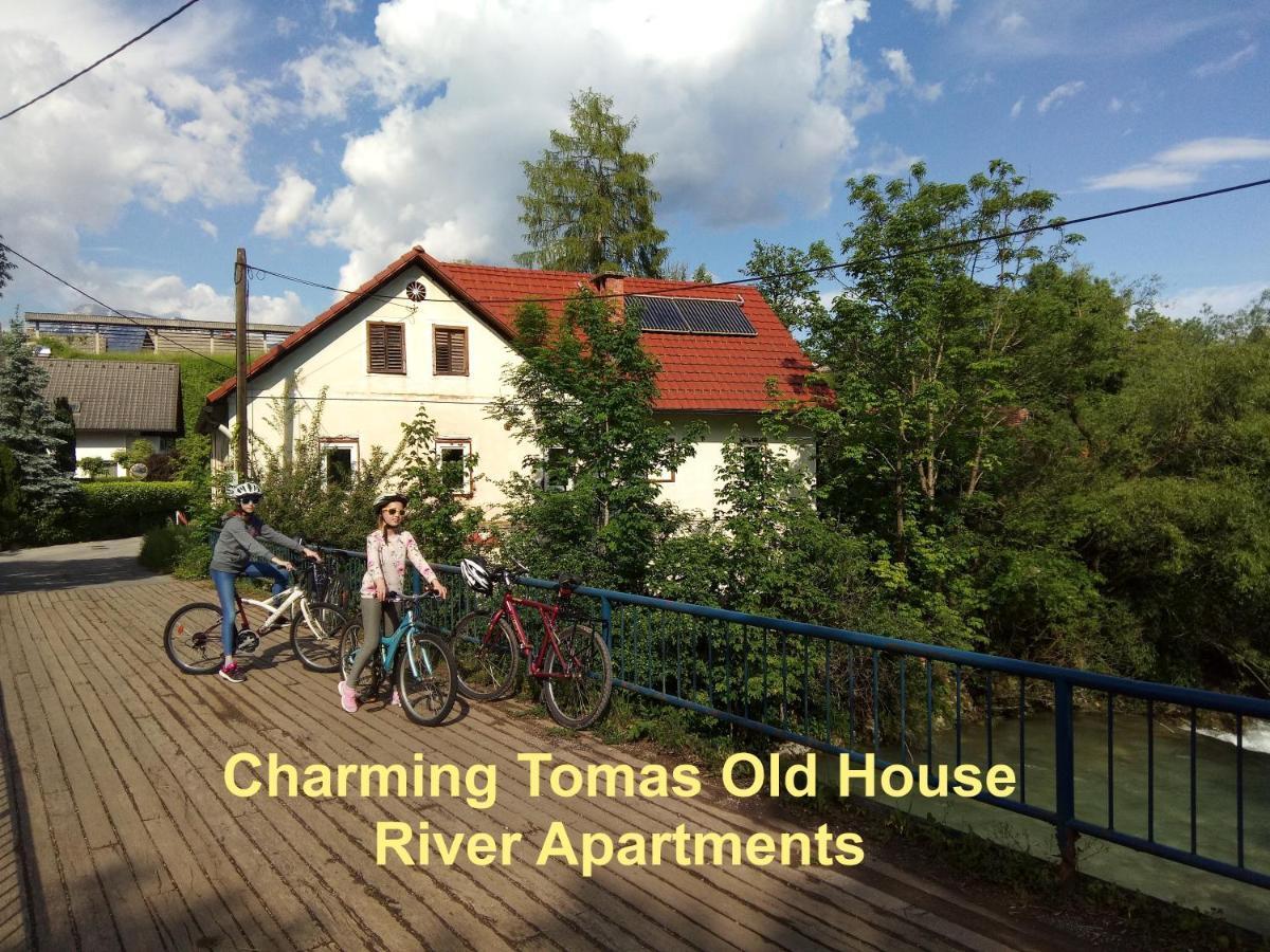 Tomas Old House - River Apartments Visoko  Exterior photo